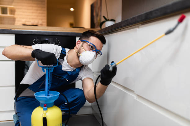Pest Prevention Services in Newman, CA