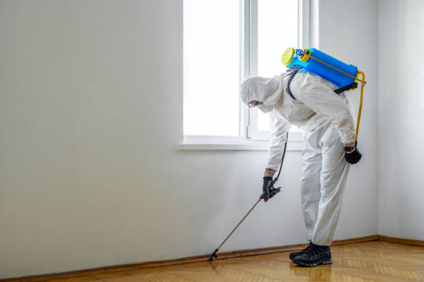 Best Affordable Pest Control Services  in Newman, CA