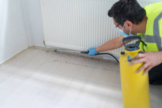 Professional Pest Control in Newman, CA